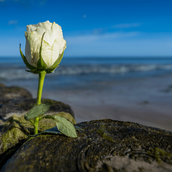 inhumation en mer